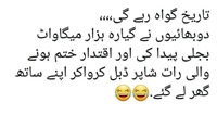 Nawaz Shehbaz bijli paida kar kay ghar lay gaye